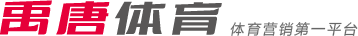 意甲升班马